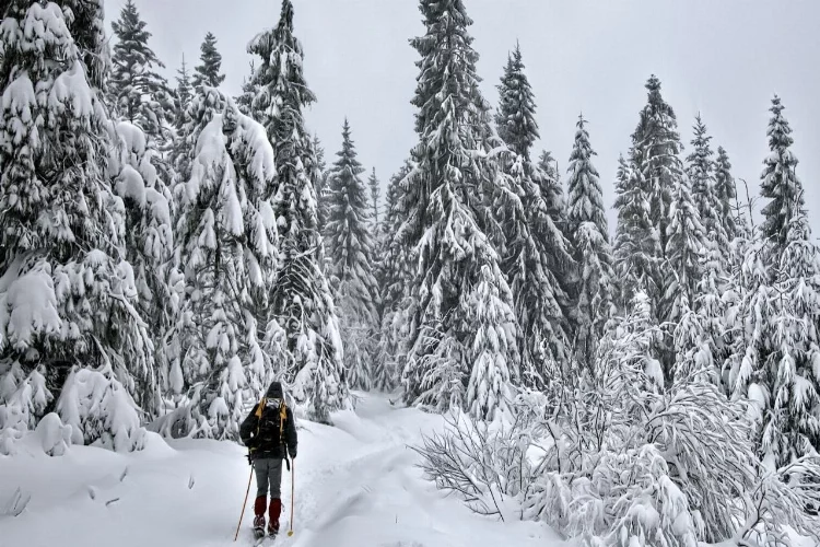 Yılbaşı için kayak tatili mi planlıyorsunuz? İşte Türkiye'nin en popüler kayak merkezleri