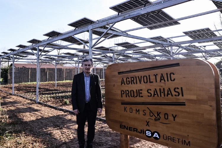 Agrivoltaik sistemle tarım ürünleri ve güneş panelleri aynı tarlada buluştu