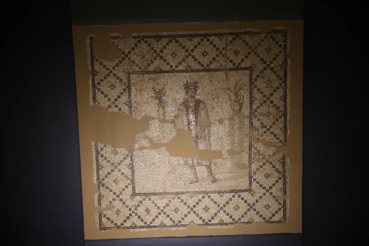 ANADOLU MOZAİĞİ - Hatay'da sergilenen mozaikler tarihe ışık tutuyor