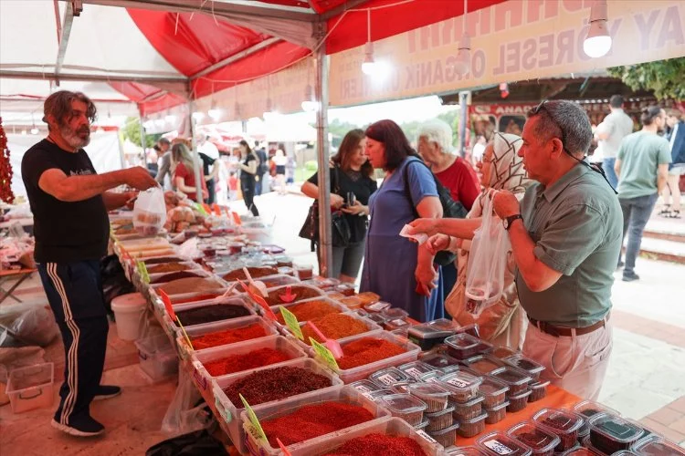 Antalya'da Gaziantep Yemek Şenliği düzenlendi