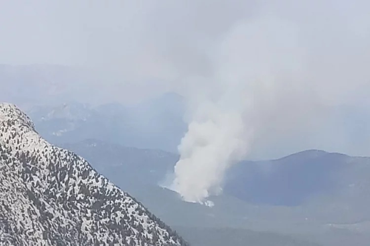 Antalya Akseki'de orman yangını çıktı