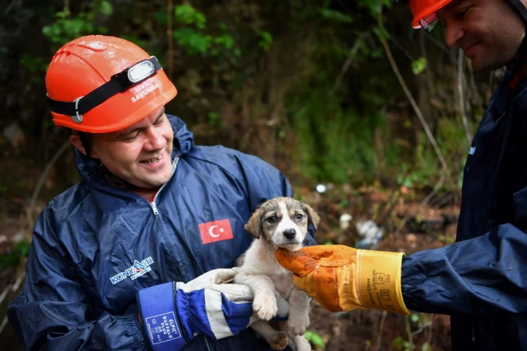 Antalya'da 5 metrelik çukura düşen köpek yavrusu kurtarıldı
