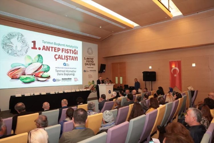 Antalya'da Antep fıstığı üretiminin geliştirilmesine yönelik çalıştay yapıldı