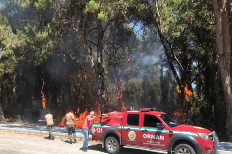 Antalya'da ormanlık alanda çıkan yangın söndürüldü