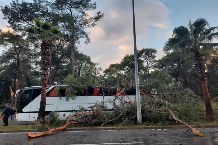 Antalya'da servis otobüsünün üstüne ağaç devrildi 7 kişi yaralandı