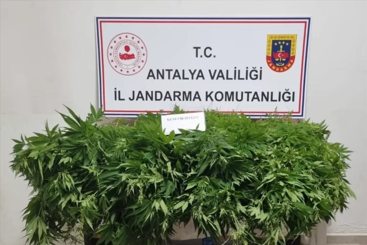 Antalya'da uyuşturucu operasyonunda 1 şüpheli tutuklandı