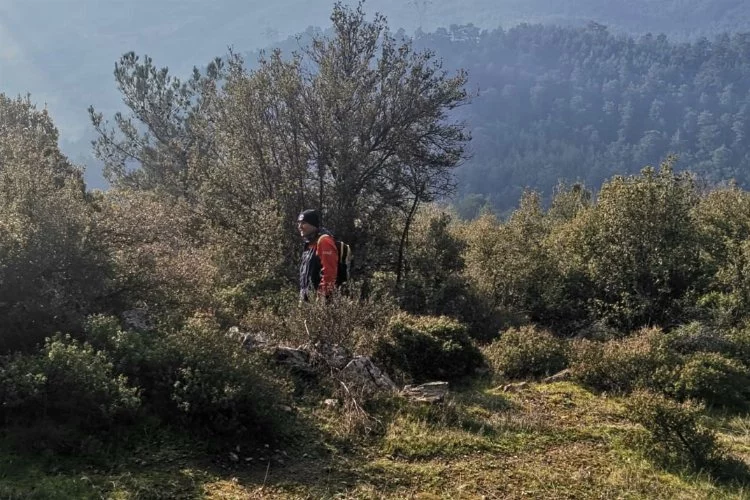 Aydın'ın Bozdoğan İlçesinde kaybolan kadını arama çalışmaları devam ediyor