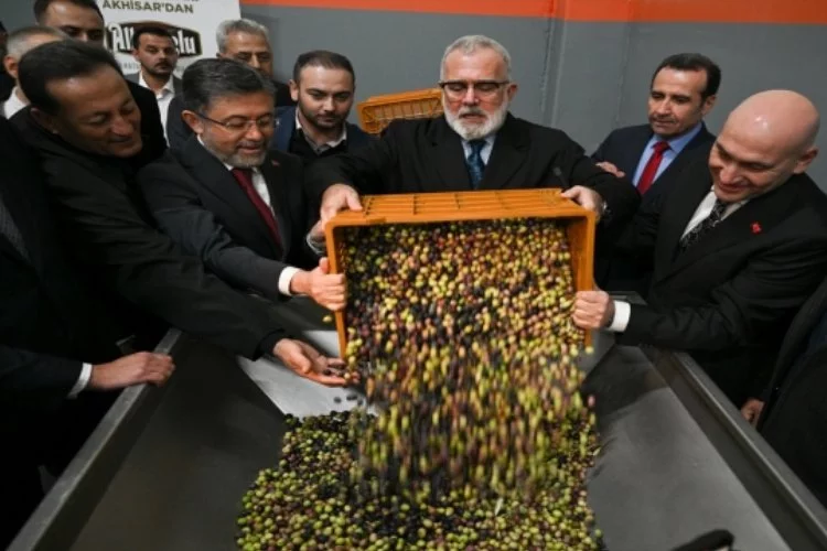 Aydın Memecik Zeytinyağı AB'den coğrafi işaret tescili aldı, Türkiye'de Tescilli zeytinyağı sayısı 3'e ulaştı