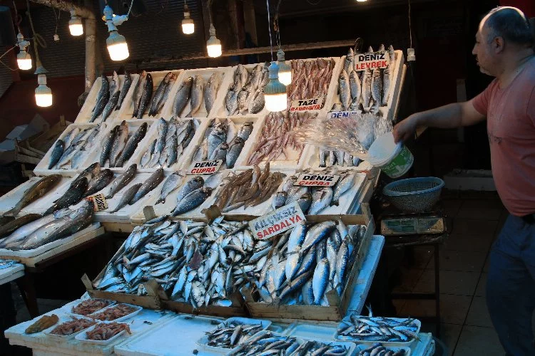 Balıkçılar, ihracatın kısıtlanmasını talep ediyor