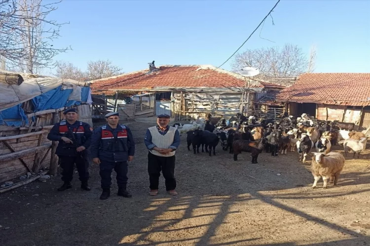 Burdur'da jandarma ekipleri kaybolan 70 keçiyi buldu