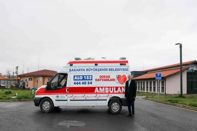 Can dostlar için yeni hizmet: Sokak hayvanları ambulansı