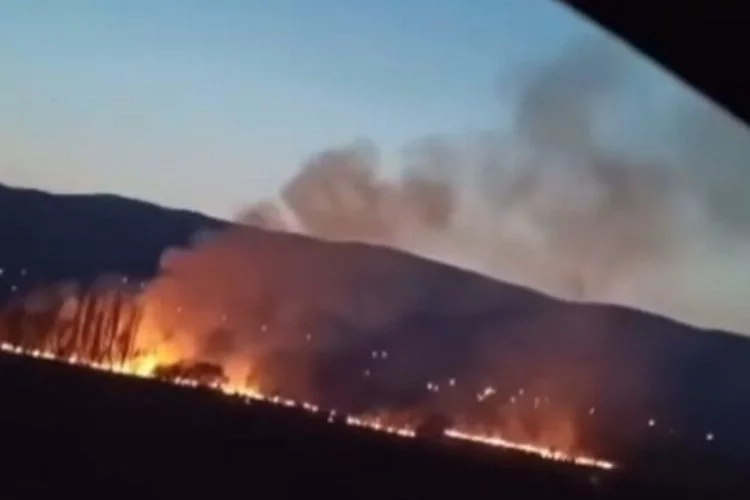 Çankırı'nın Eldivan İlçesindeki arazi yangını