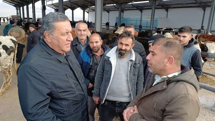 CHP Milletvekili Gürer, Niğde'de hayvan pazarını ziyaret ederek besicilerin sorunlarını dinledi  2