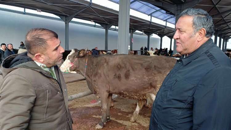 CHP Milletvekili Gürer, Niğde'de hayvan pazarını ziyaret ederek besicilerin sorunlarını dinledi  3