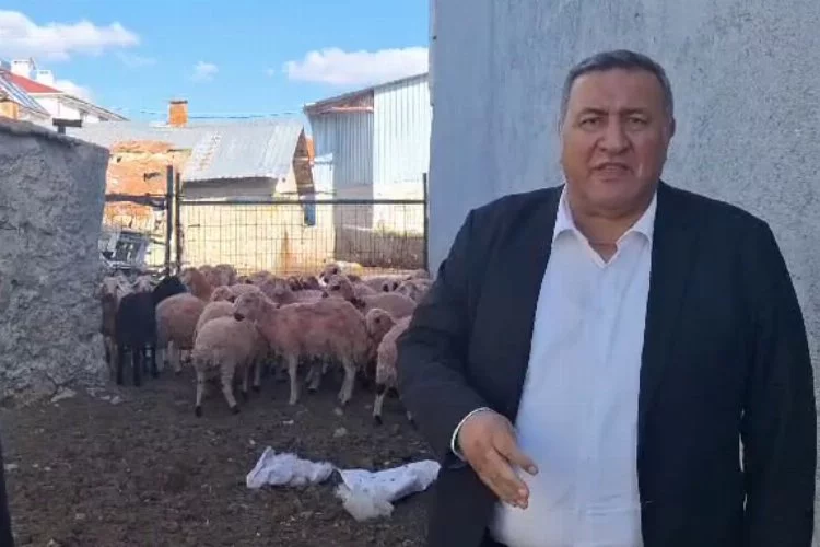 CHP Milletvekili Ömer Fethi Gürer: Koyun fiyatları 4 yılda 10 kat arttı!