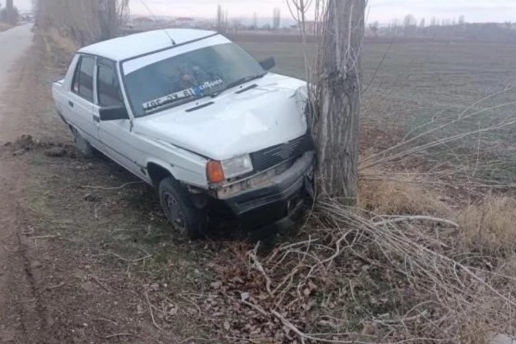 Çorum'da kaza: Köpek nedeniyle araç ağaca çarptı