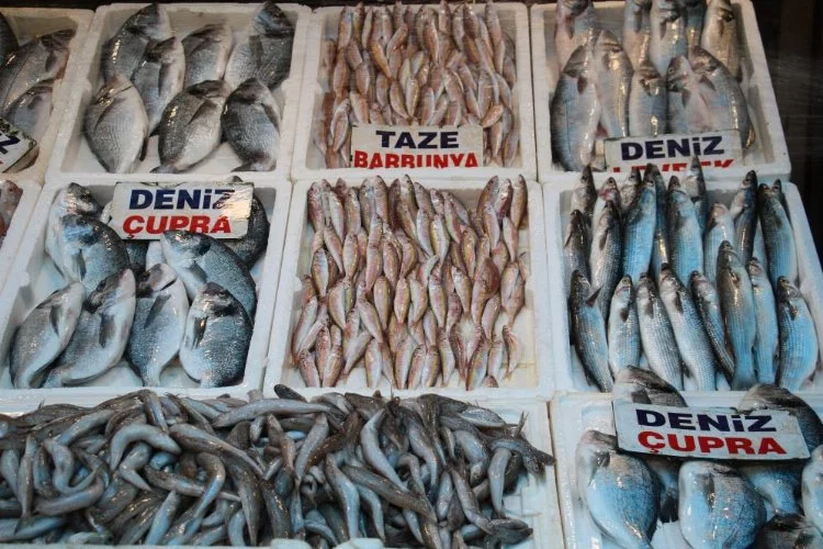 Denizlerde av yasağı başladı: Balık çeşitliliği azalacak, fiyatlar sabit kalacak