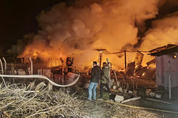Eskişehir'de ahır yangınında 63 küçükbaş hayvan telef oldu