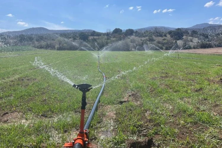 Eskişehir'de kuraklık tehlikesi: Çiftçiler tarlalarını kendi imkanlarıyla suluyor