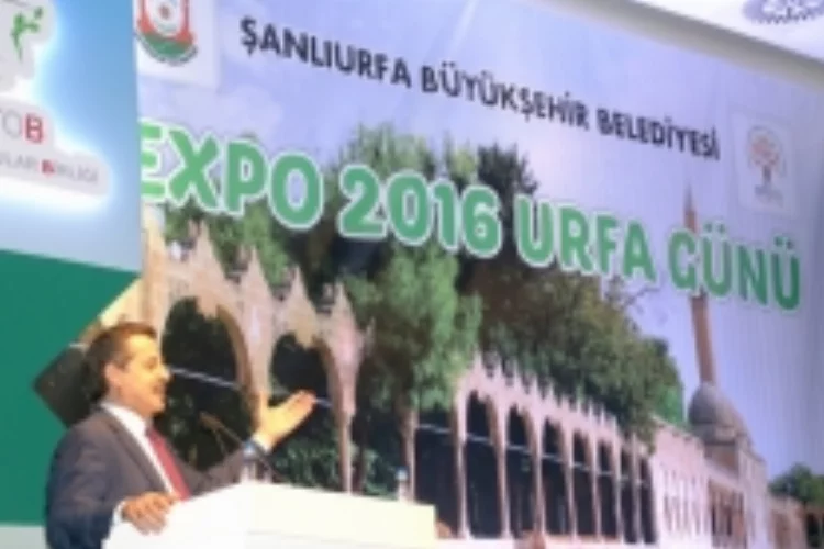 EXPO 2016'da Urfa rüzgarı