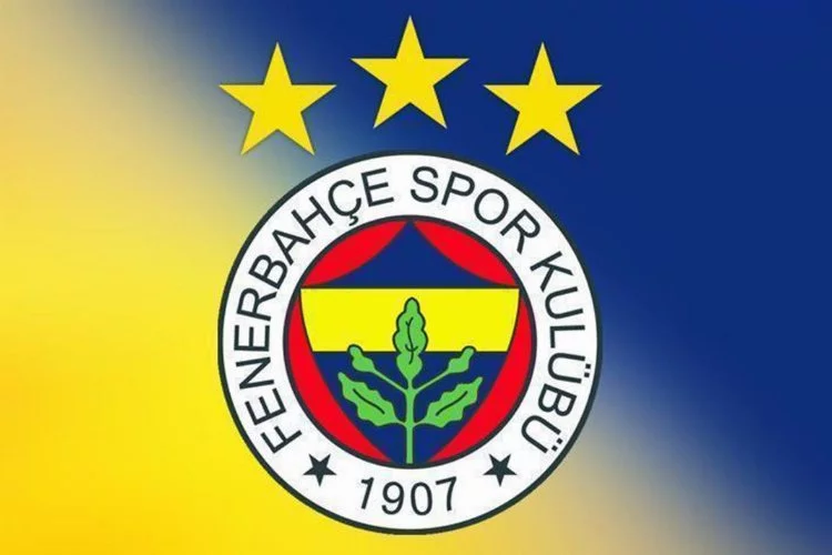Fenerbahçe'de Sevil Zeynep Becan, Yüksek Divan Kurulu Başkanlığı için adaylığını duyurdu