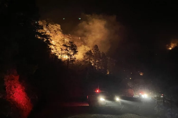 GÜNCELLEME 2- Alanya'da orman yangını başladı