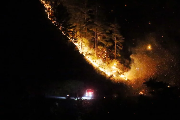 GÜNCELLEME - Alanya'da orman yangını başladı