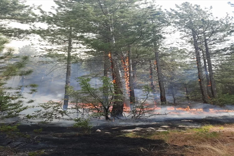 GÜNCELLEME - Antalya Akseki'de orman yangını çıktı