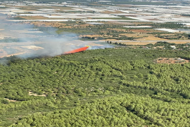 GÜNCELLEME - Antalya'nın Aksu ilçesinde çıkan orman yangını kontrol altına alındı