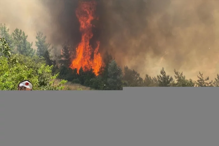 GÜNCELLEME - Osmaniye'de orman yangını çıktı