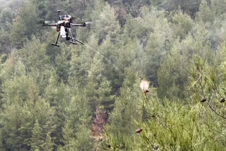 Isparta'da çam kese böcekleriyle mücadele için dron geliştirildi