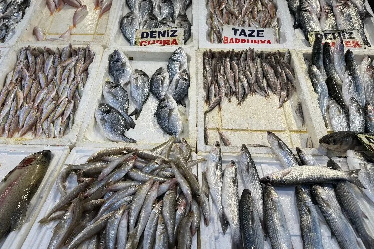 Karataş Su Ürünleri Kooperatifi Başkanı, balık fiyatlarındaki artış üreticiyi zorluyor