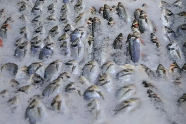 Adana'da kebabın yanı sıra balık tüketimi de artıyor