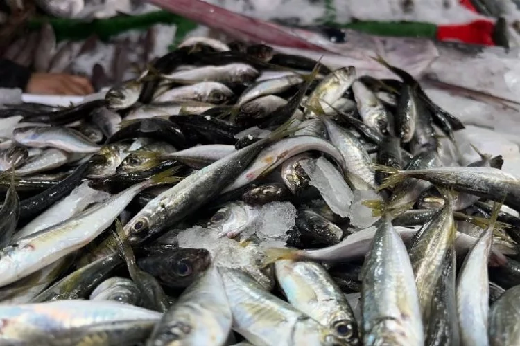 Kilis'te et ve tavuk fiyatlarındaki artış balık tüketimini artırıyor