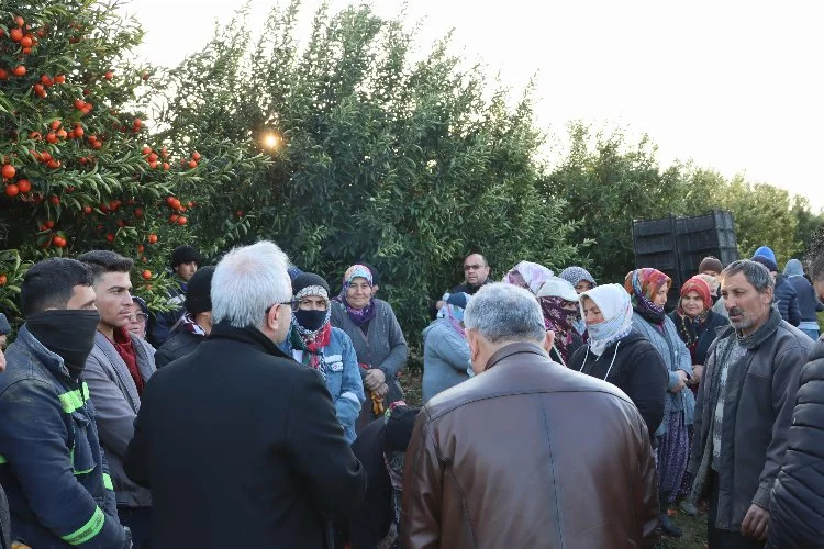 Kozan Belediye Başkanı Kazım Özgan, narenciye işçileriyle güç birliği yaptı