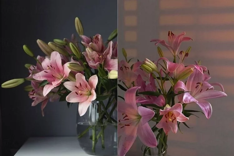 Lilyum Çiçeği: Zerafetin ve güzelliğin sembolü lilyum çiçeği nasıl yetiştirilir?