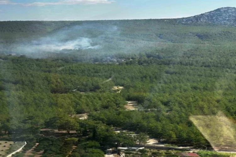 Manavgat'ta orman tehlikesi: Yakılan lastikler itfaiye tarafından söndürüldü