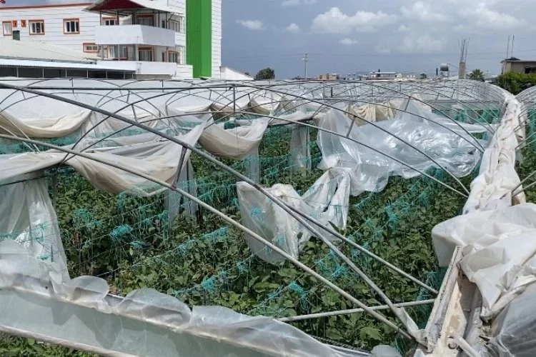 Mersin'de şiddetli fırtına ve rüzgar ekili alanlara zarar verdi