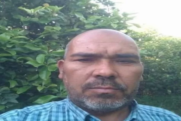 Mersin'de arının soktuğu çiftçi hayatını kaybetti