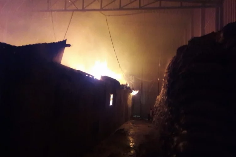 Mersin'de defne yaprağı işleme fabrikasında çıkan yangın söndürüldü