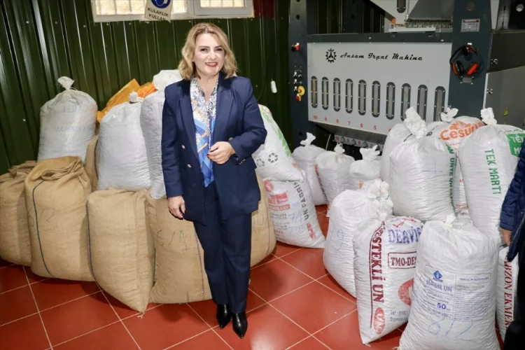 Migros organik tarımı desteklemek için Trabzon'dan 10 ton organik fındık aldı