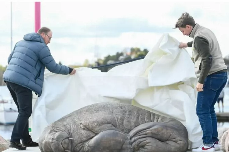 Norveçli Yetkililer tarafından 2022 yılı Ağustos ayında öldürülen ünlü deniz aygırı ‘Freya’nın heykeli yapıldı