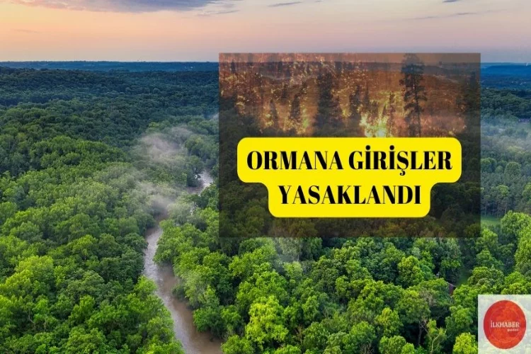 İstanbul'da orman yangılarına karşı önlem: Girişler yasaklandı