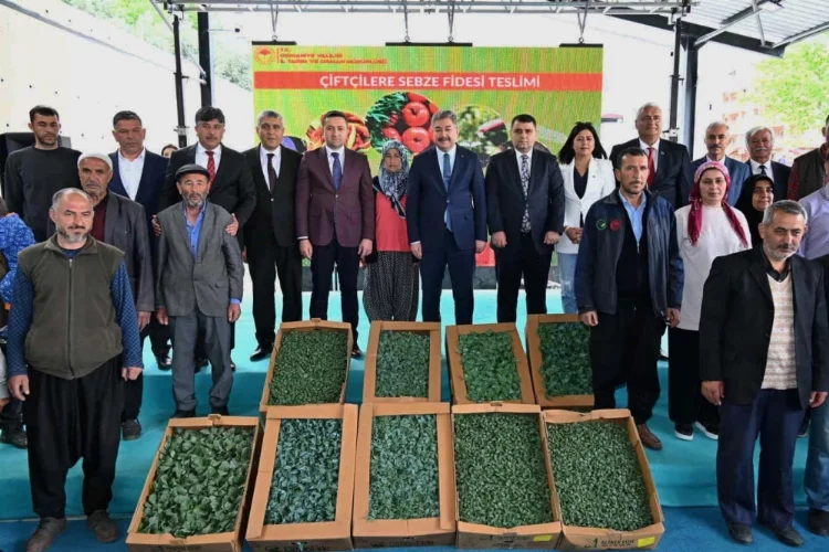 Osmaniye'de çiftçilere 220 bin sebze fidesi dağıtıldı
