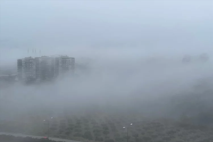 Osmaniye'de sis etkili oluyor