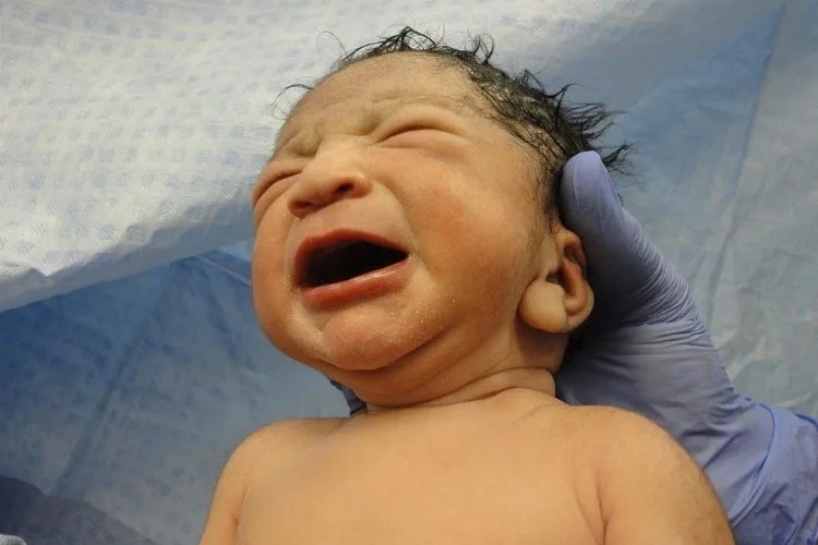 Pendik'te bahçede yeni doğmuş bebek bulundu, sağlık ekipleri müdahale etti
