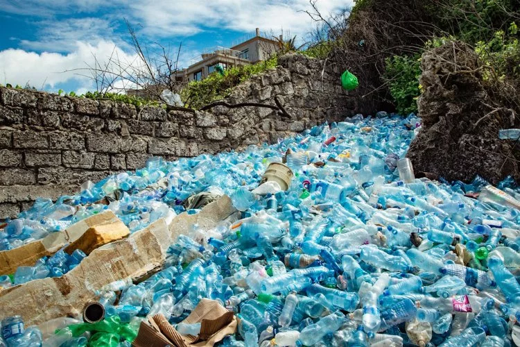 Plastik ürünler, insan sağlığı ve doğayı tehdit ediyor