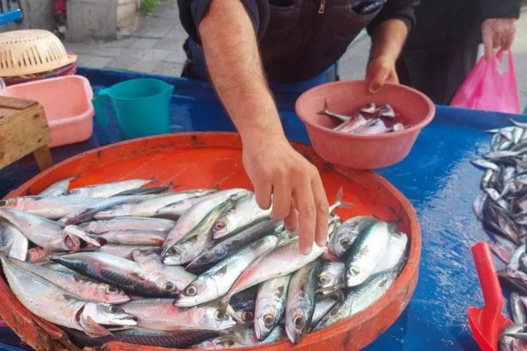Tekirdağ'da av sezonu sonuna yaklaşılırken, balık miktarı azalıyor