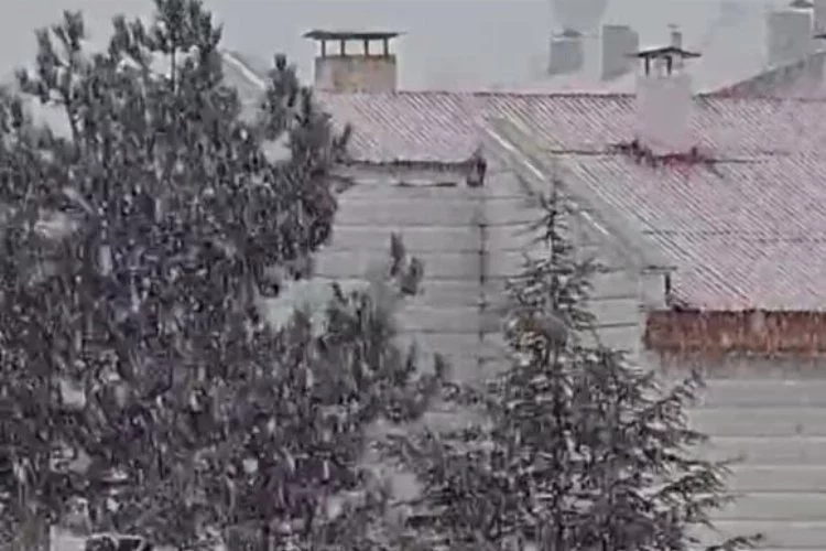 Tufanbeyli'de Mart Ayında lapa lapa kar yağışı